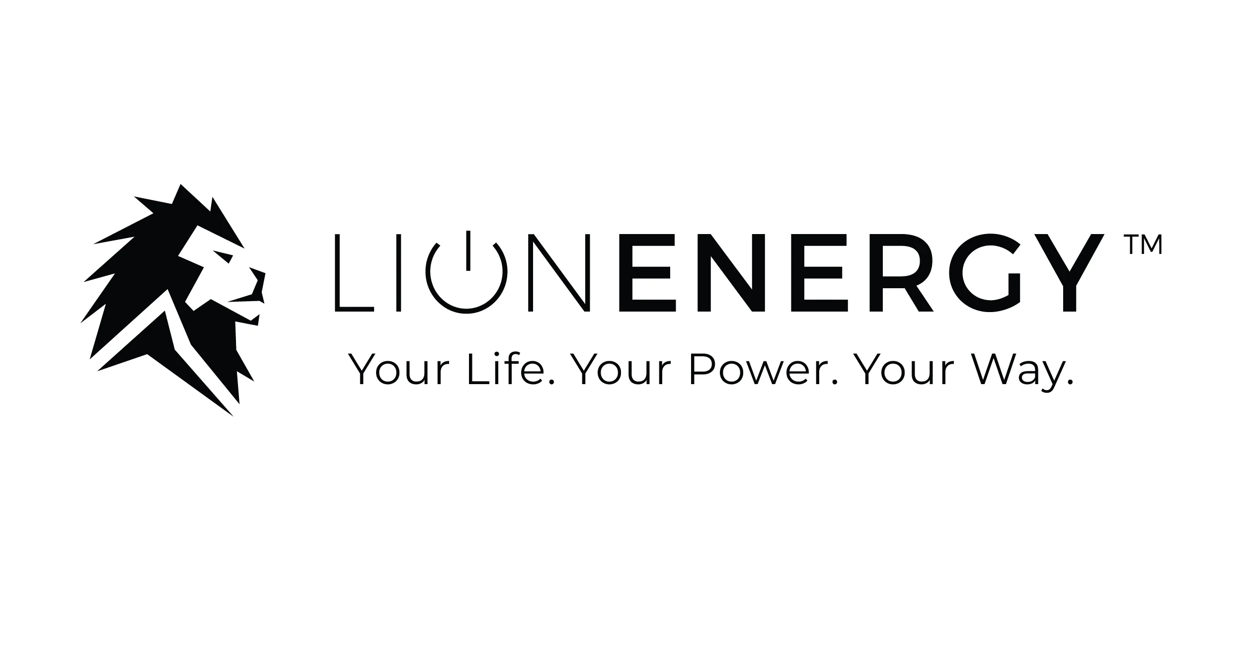 Lion Energy Summit portable power station